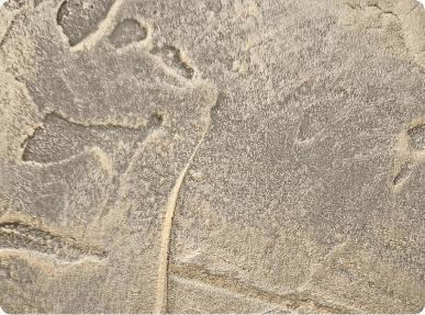 Waar wacht u nog op!